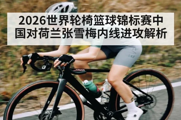 2026世界轮椅篮球锦标赛中国对荷兰张雪梅内线进攻解析