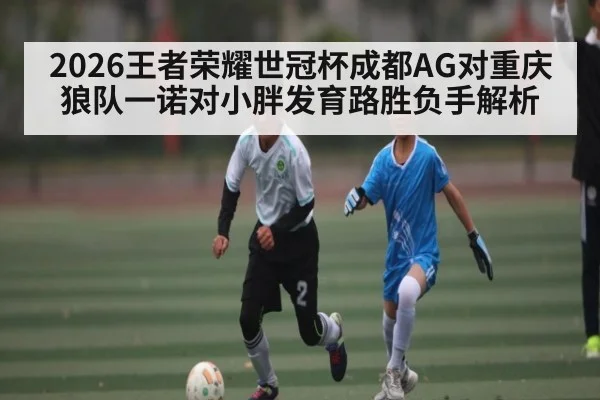 2026王者荣耀世冠杯成都AG对重庆狼队一诺对小胖发育路胜负手解析